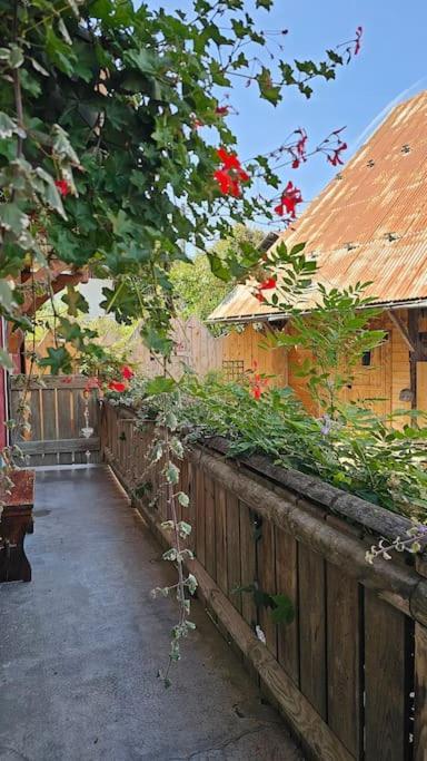 Le Banc Des Seilles Villa Bonvillard Kültér fotó